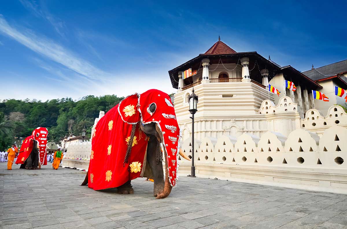 Kandy City Tour - Temple of the Tooth Relic