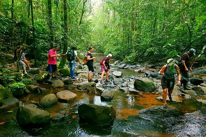 Sinharaja Rain Forest Trekking Guide