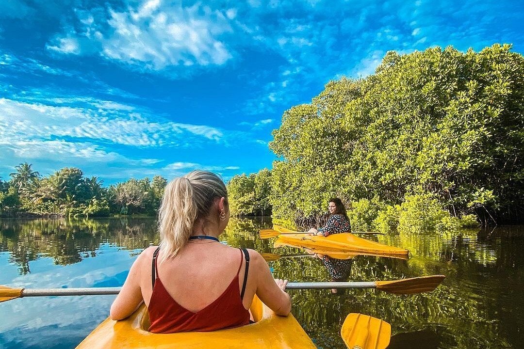 Kayaking through Tangalle Lagoon mangroves