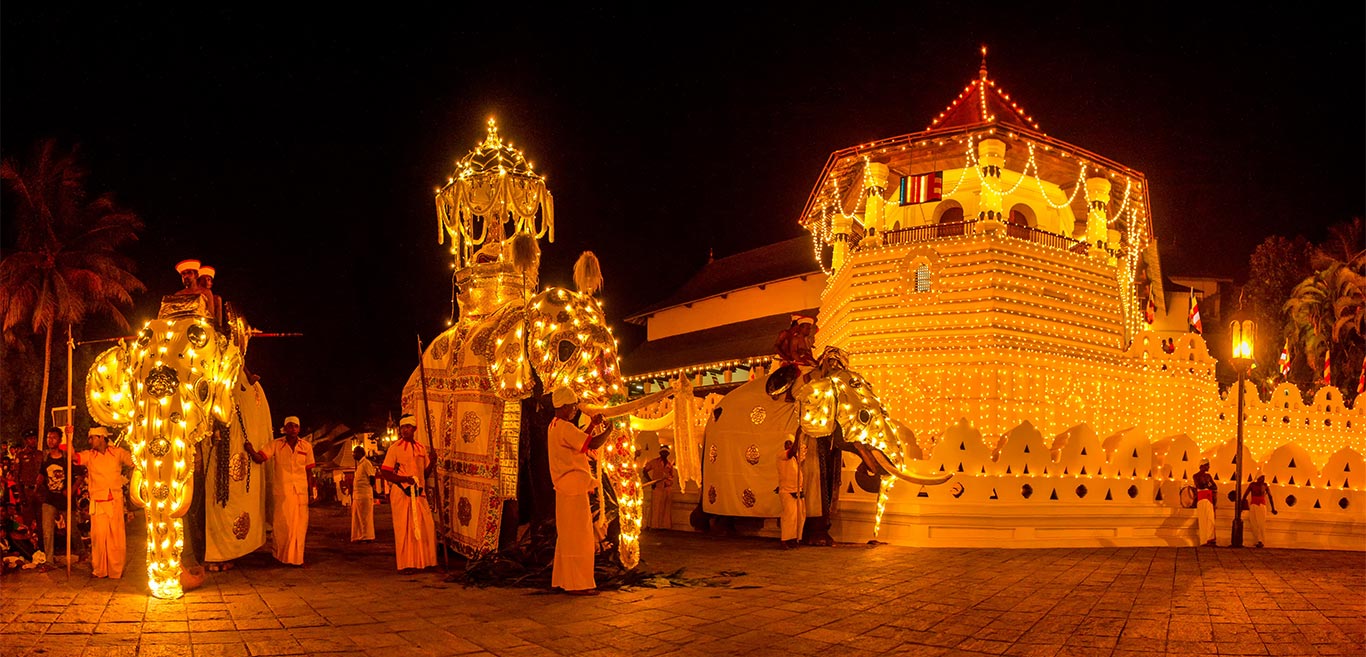 Kandy Esala Perahera elephant procession